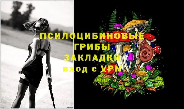 spice Аркадак