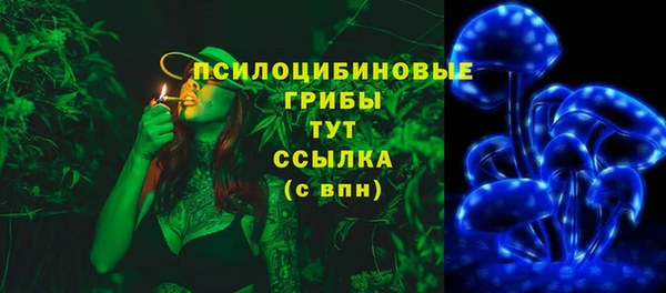 МДПВ Алексин
