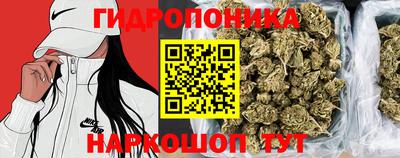 соль ск Можга