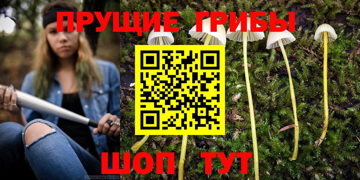 Галлюциногенные грибы Magic Shrooms  Вход с VPN  Пушкино 
