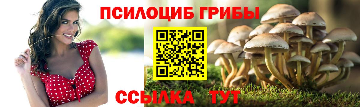 Галлюциногенные грибы Magic Shrooms Пушкино